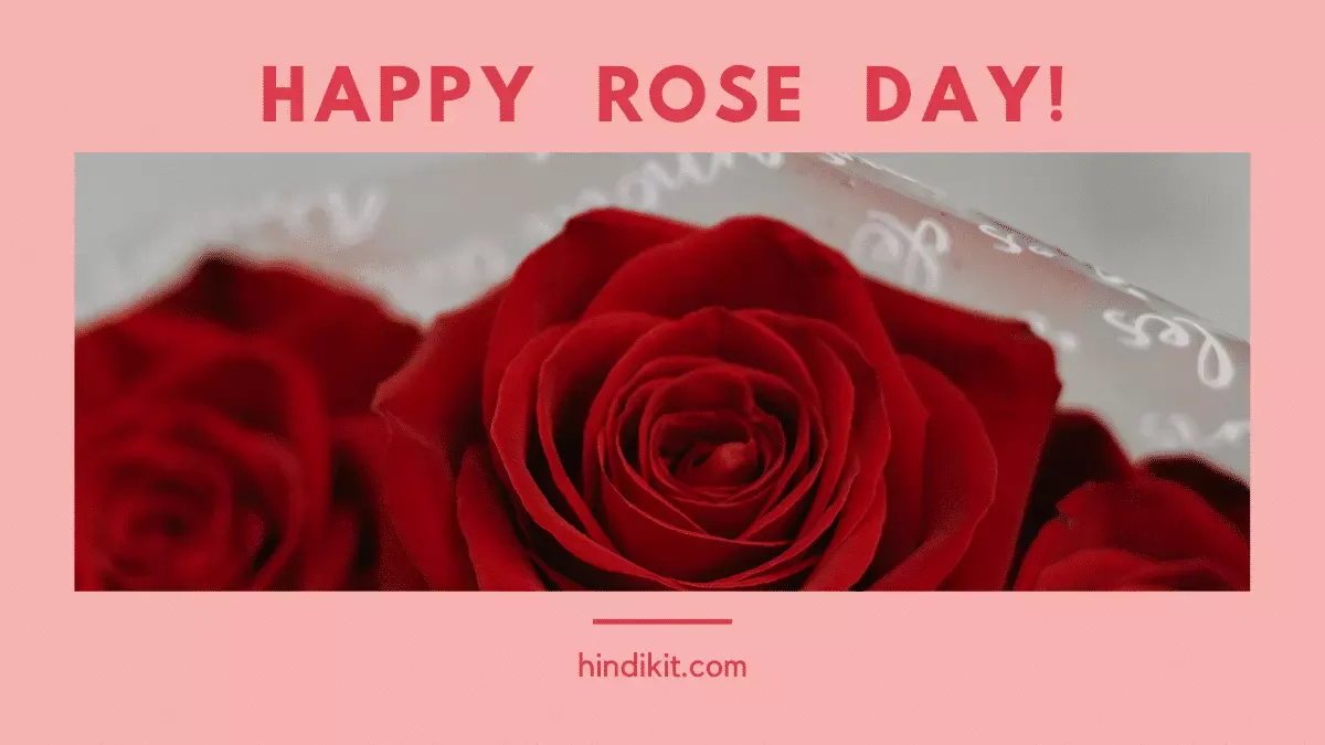 Happy Rose Day Wishes With Images